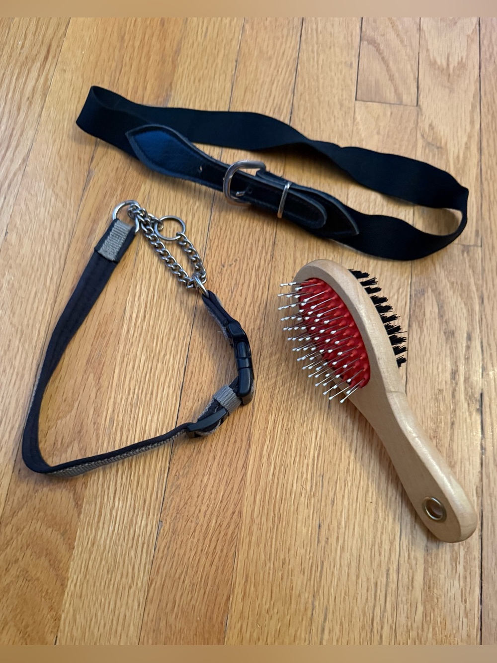 New dog leashes and brush ✨